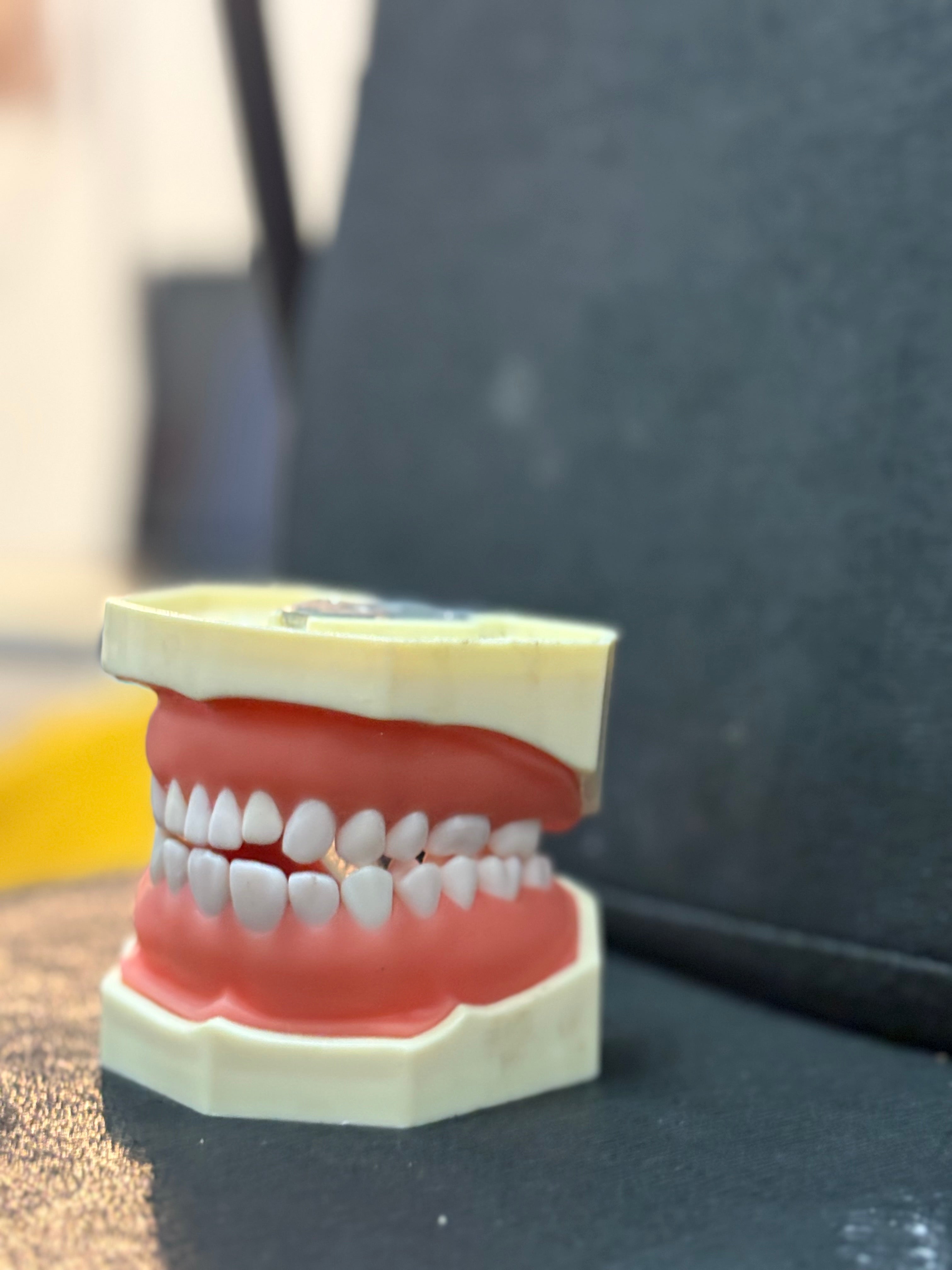 Standard Adult Sized Teeth Mould