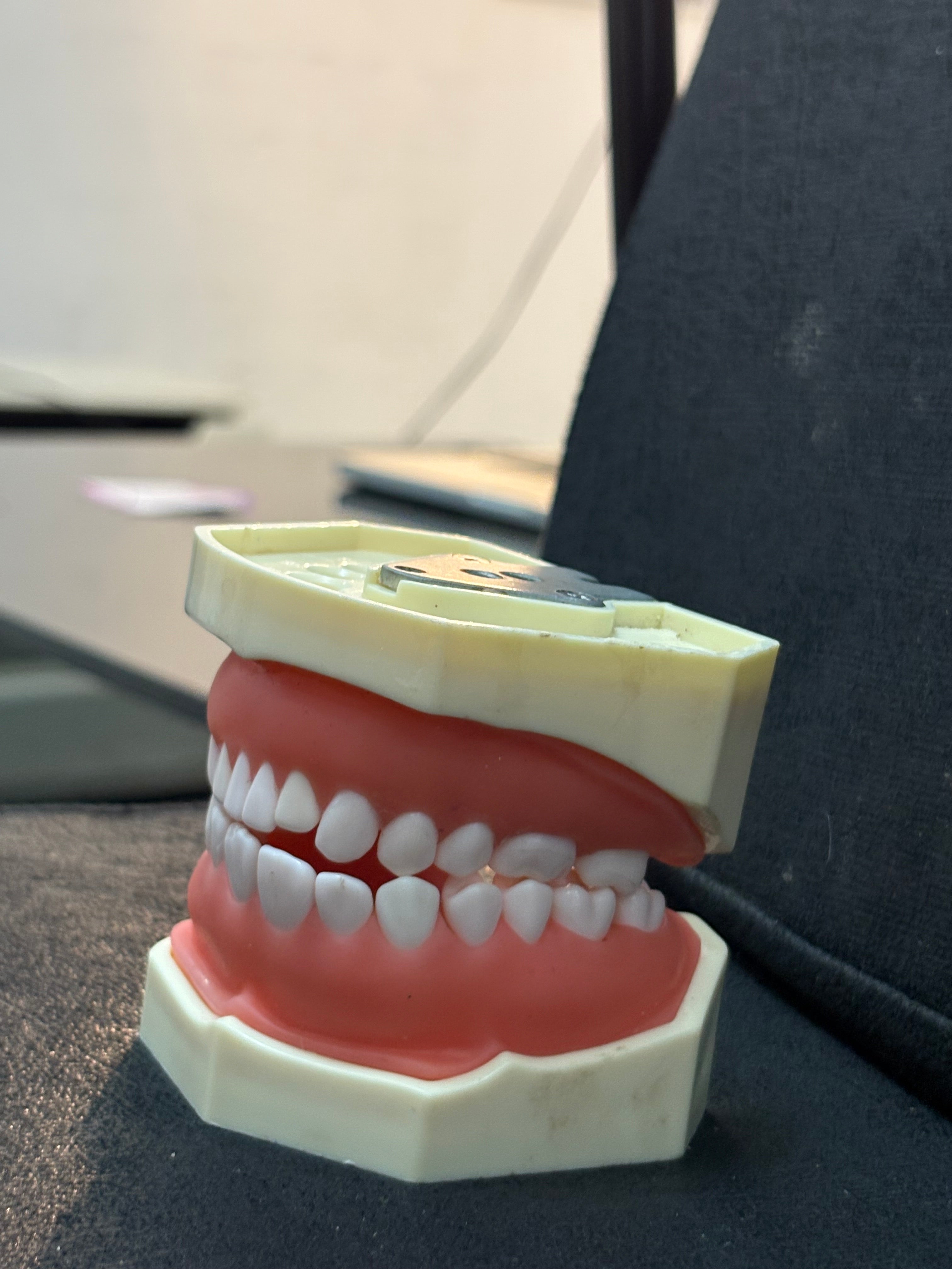 Standard Adult Sized Teeth Mould